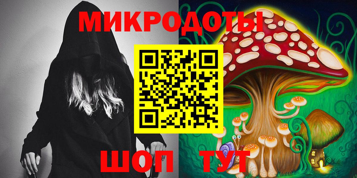 Псилоцибиновые грибы мицелий  Вход с VPN  что такое наркотик  Рубцовск  Галлюциногенные грибы Psilocybe 