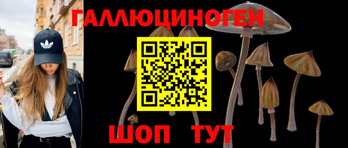 Псилоцибиновые грибы Psilocybine cubensis Рубцовск